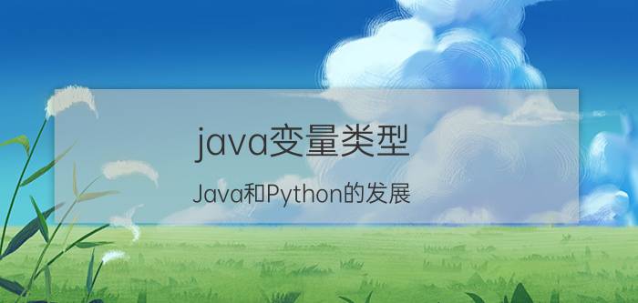 java变量类型 Java和Python的发展，哪一个更好一些？